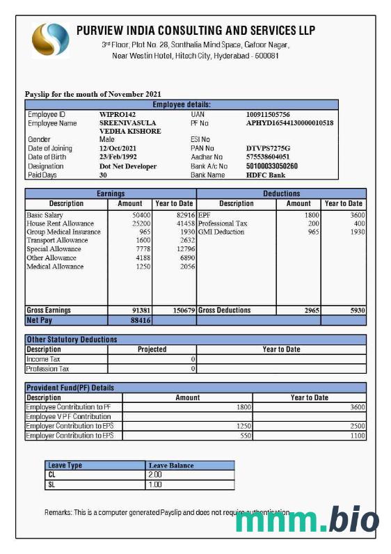 Purview India Consulting and Services payslip template w formatach Word i PDF